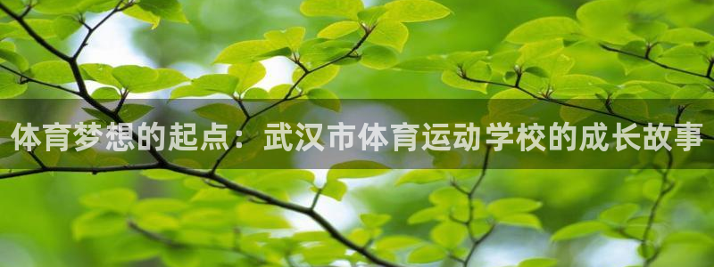 JJB竞技宝官网下载平台APP：体育梦想的起点：武汉