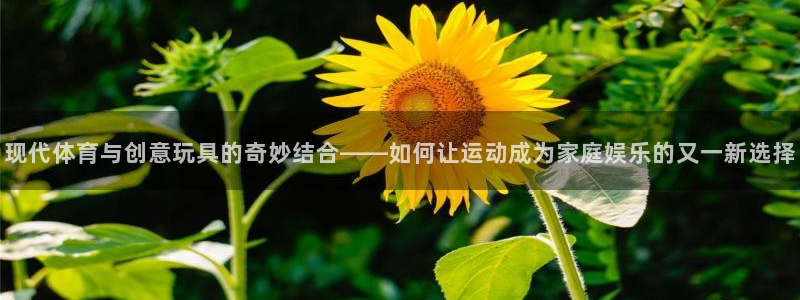 JJB竞技宝官方正版app集团logo：现代体育与创意玩具的