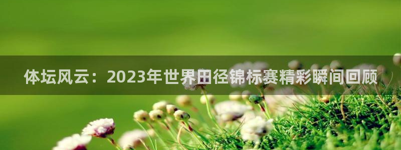 JJB竞技宝官网下载招商电话：体坛风云：2023年世界田径锦
