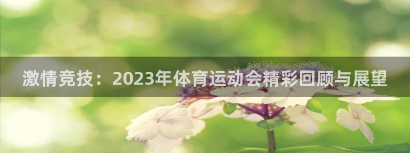 JJB竞技宝官网下载招商电话是多少：激情竞技：2023年体育