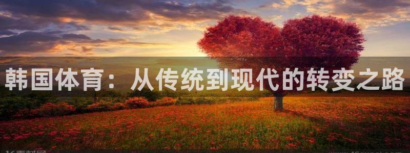 JJB竞技宝官方正版app开户：韩国体育：从传统到现