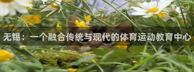 JJB竞技宝官方正版app集团官网首页：无锡：一个融合传统与