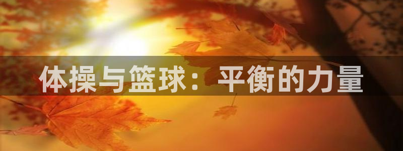 竞技宝 app官网下载安装：体操与篮球：平衡的力量