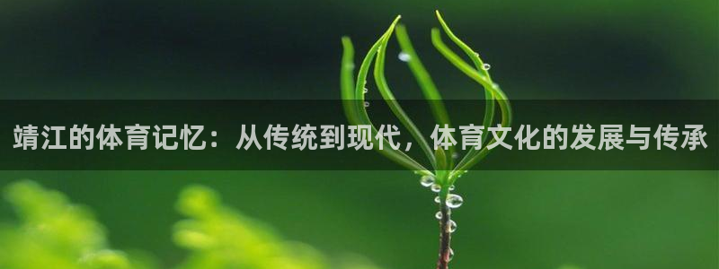  竞技宝是什么关系搜索哈哈电竞：靖江的体育记忆：从传统到现代，