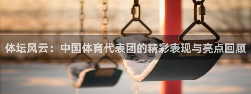 竞技宝是什么平台：体坛风云：中国体育代表团的精彩表现与亮点回