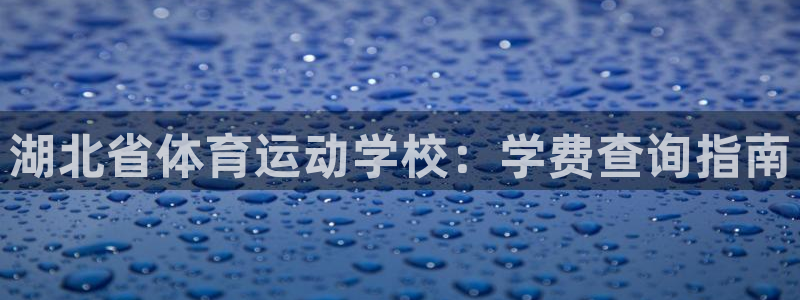 竞技宝 提现：湖北省体育运动学校：学费查询指南