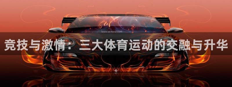 JJB竞技宝是正规平台吗：竞技与激情：三大体育运动的交融与升