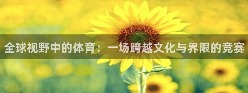  竞技宝贴吧：全球视野中的体育：一场跨越文化与界限的竞赛