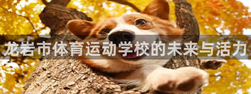 JJB竞技宝官网下载平台假的吗是真的吗吗：龙岩市体育