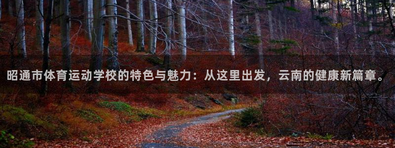 JJB竞技宝官网下载招商电话是多少啊：昭通市体育运动