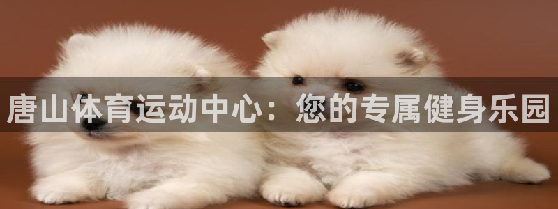 JJB竞技宝官网下载平台