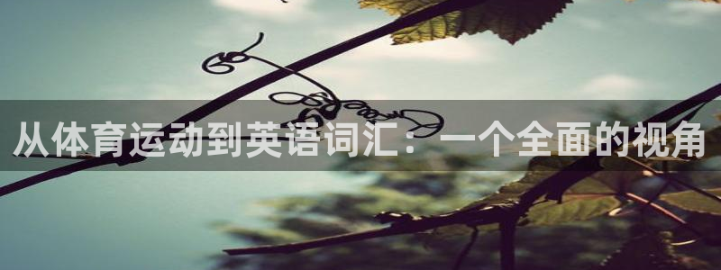 JJB竞技宝官网下载注册：从体育运动到英语词汇：一个